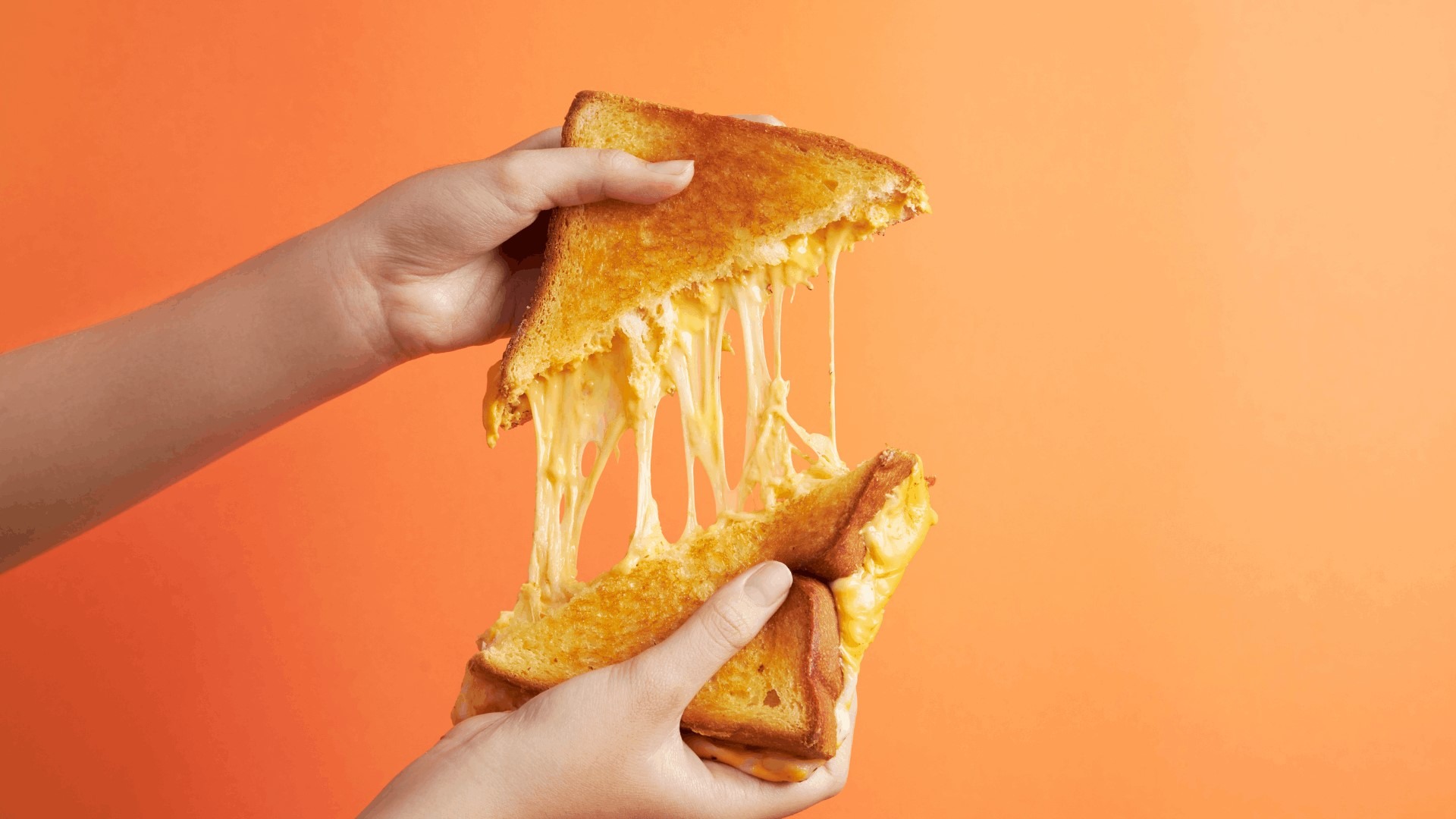 Achieve elasticity, firmness and better shredding ability in plant-based cheese