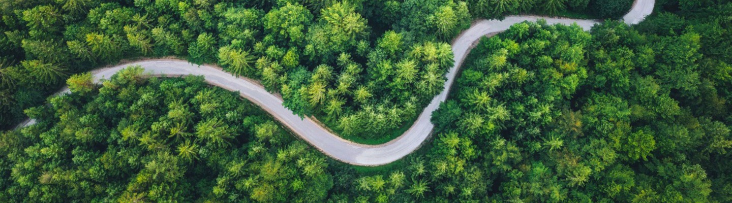 66c8e11fd0881271787721.jpg